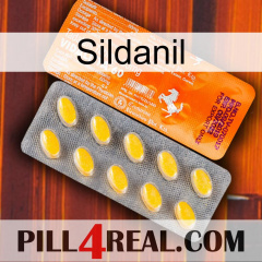 Sildanil new05